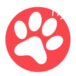 logo-realtimepet